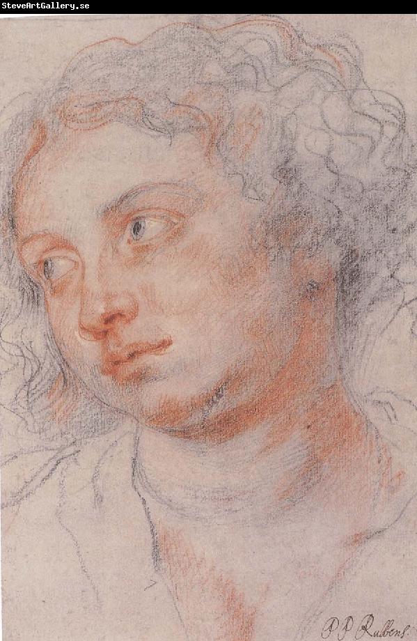 Peter Paul Rubens Portrait of Younger woman